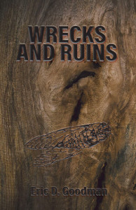 wrecks-and-ruins-arc-front-cover-final
